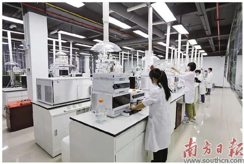 蓬江 以科技創(chuàng)新為引擎，新材料研發(fā)驅(qū)動產(chǎn)業(yè)升級