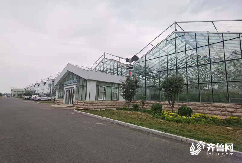 高端智庫看山東 如何豐富“壽光模式”內涵？專家支招 結合新發展機遇，用數字經濟賦能產業，推廣新材料技術